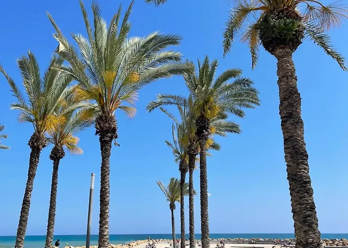 Casa Bonita Appartement *